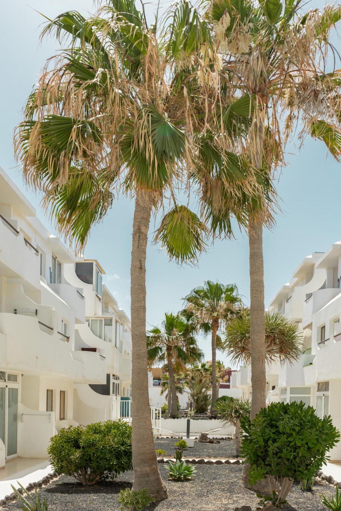 Apartamento Casa Maja Costa De Antigua Exterior foto